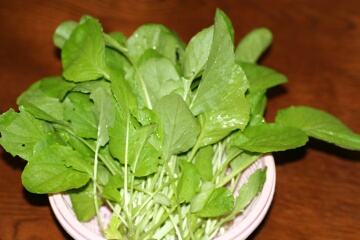 �N���b�N����Ƒ傫������܂�